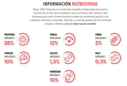 Perrarina Ringo +Pro Cachorros